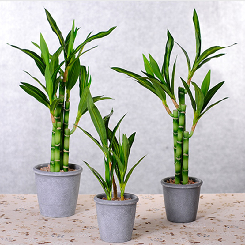 جديد 40 سنتيمتر rFtificial محظ - مراجعة Desktop Organizer Bamboo وسعره