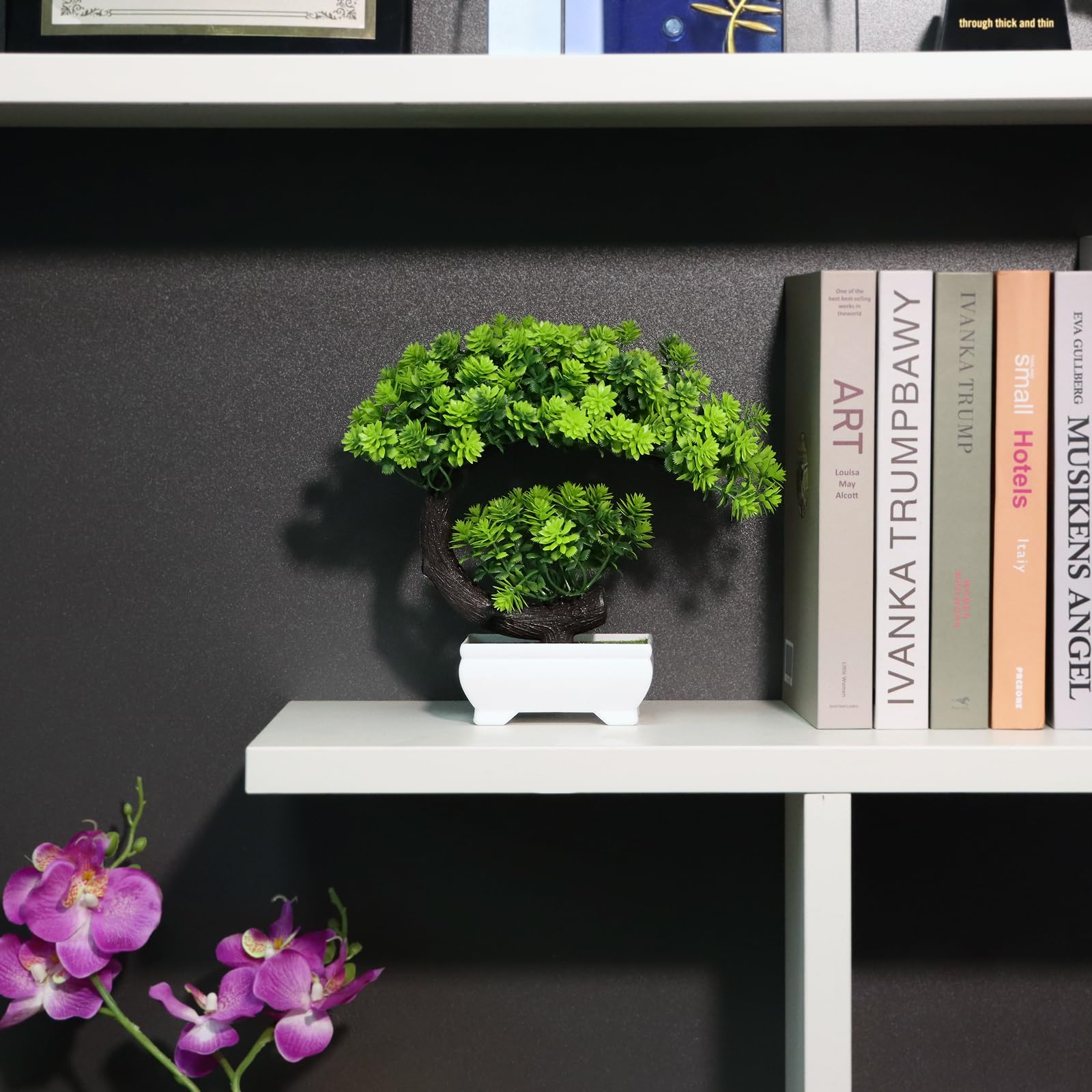 نباتات صناعية صغيرة على شكل زه - مراجعة Home Office Bookshelves وسعره
